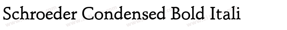 Schroeder Condensed Bold Italic字体转换